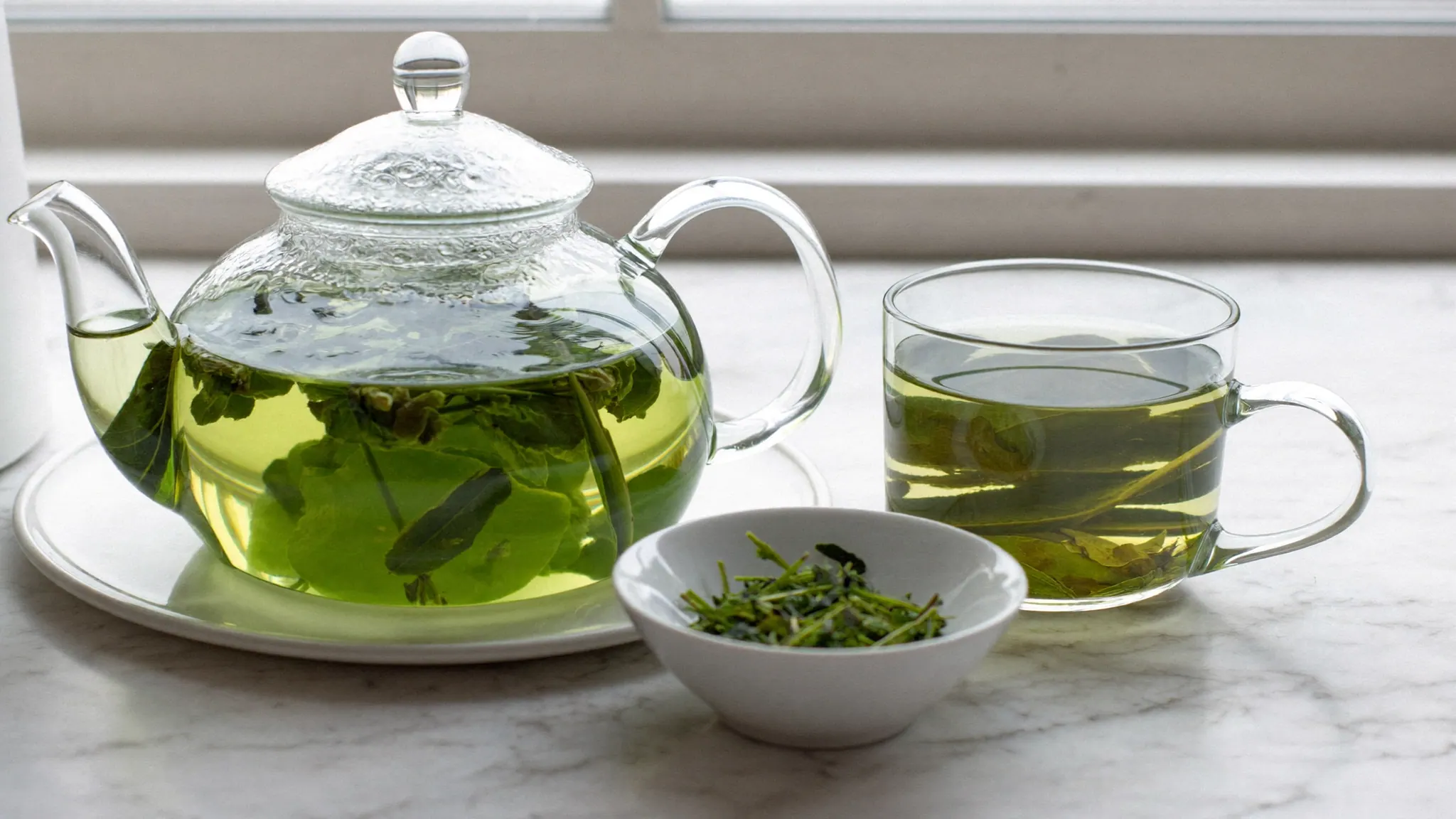 Green Tea and Metabolism